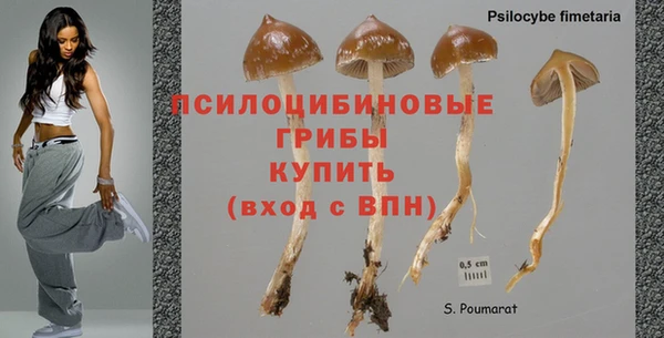 марихуана Вяземский