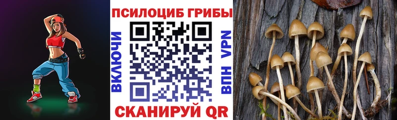 Псилоцибиновые грибы Magic Shrooms  Купить закладки  Красавино 